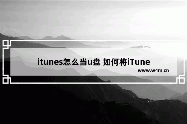 itunes怎么当u盘 如何将iTunes作为U盘使用