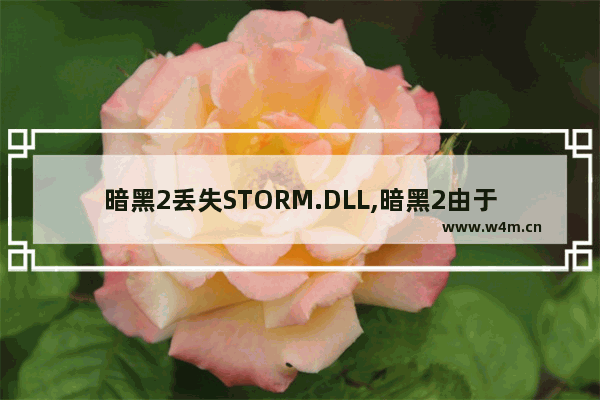 暗黑2丢失STORM.DLL,暗黑2由于找不到storm