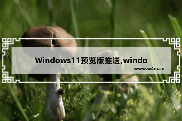 Windows11预览版推送,windows11升级推送