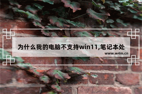 为什么我的电脑不支持win11,笔记本处理器不支持win11