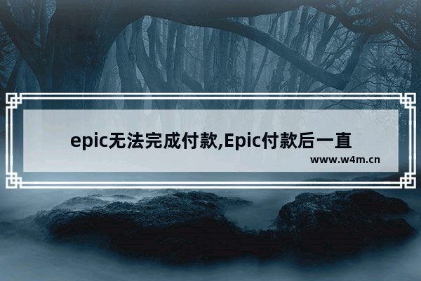 epic无法完成付款,Epic付款后一直等待付款提交