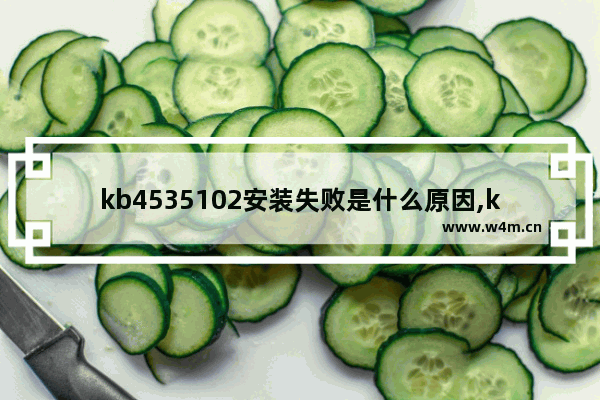 kb4535102安装失败是什么原因,kb4534310老是安装失败