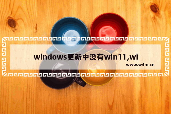 windows更新中没有win11,windows11装什么版本