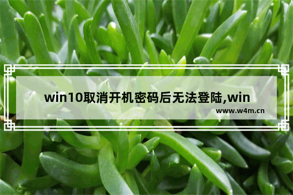 win10取消开机密码后无法登陆,windows10开机登录密码取消