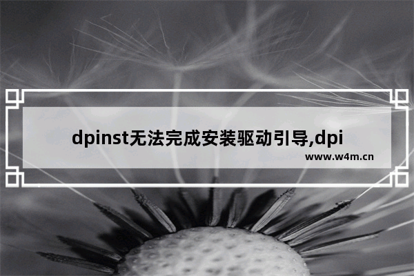 dpinst无法完成安装驱动引导,dpinst.exe无法安装