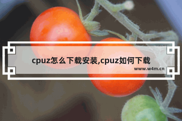 cpuz怎么下载安装,cpuz如何下载