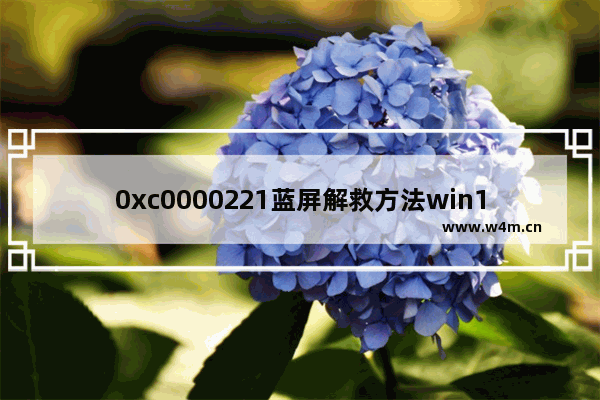 0xc0000221蓝屏解救方法win10,win10修复0xc0000142蓝屏