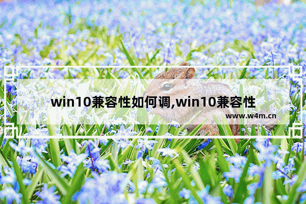 win10兼容性如何调,win10兼容性如何设置