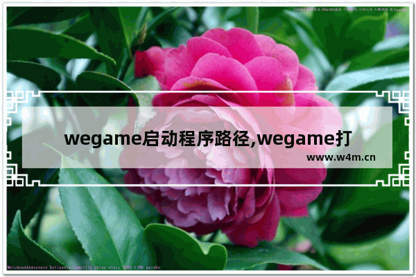 wegame启动程序路径,wegame打开文件所在位置