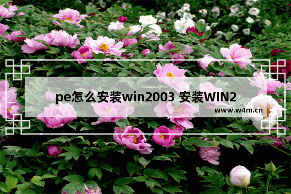 pe怎么安装win2003 安装WIN2003操作系统的步骤