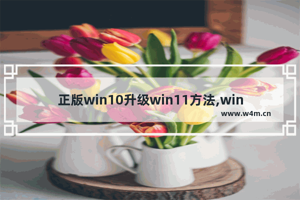 正版win10升级win11方法,win11正式版升级方法