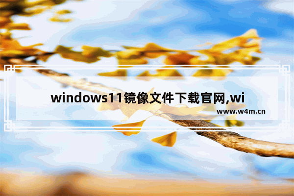 windows11镜像文件下载官网,win11镜像哪里下载