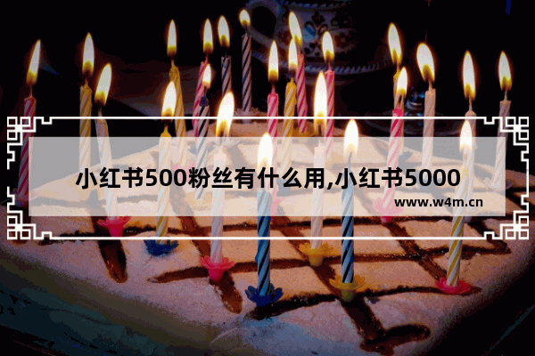 小红书500粉丝有什么用,小红书5000粉丝推广费