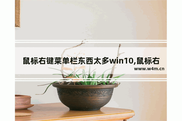 鼠标右键菜单栏东西太多win10,鼠标右键菜单栏东西太多怎么折叠