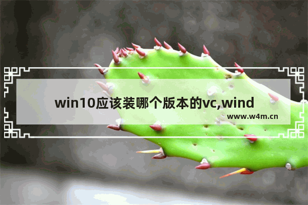 win10应该装哪个版本的vc,windows10应该装哪个版本