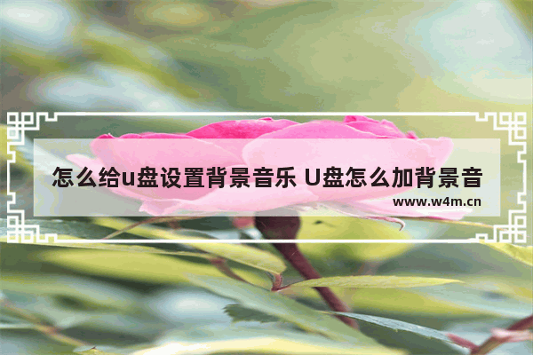 怎么给u盘设置背景音乐 U盘怎么加背景音乐？