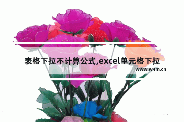 表格下拉不计算公式,excel单元格下拉为什么不自动计算