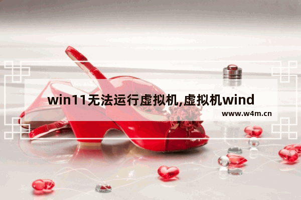 win11无法运行虚拟机,虚拟机windows网络连接不上