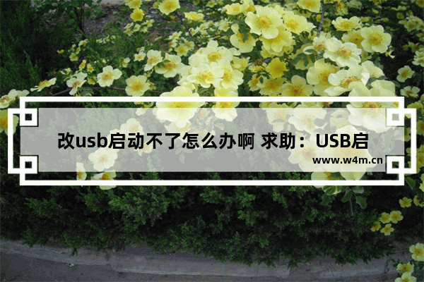 改usb启动不了怎么办啊 求助：USB启动失败怎么解决？