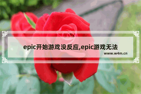 epic开始游戏没反应,epic游戏无法启动