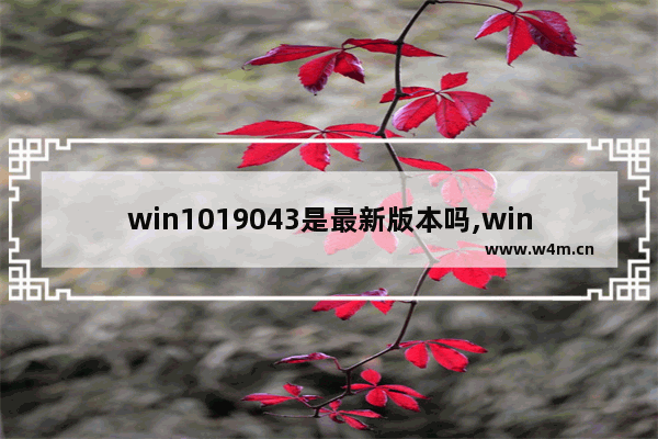 win1019043是最新版本吗,win1019041是什么版本