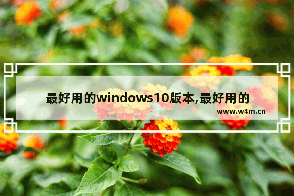 最好用的windows10版本,最好用的win10系统版本