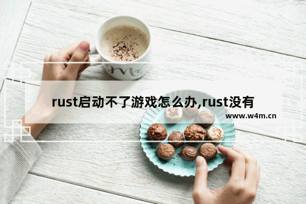 rust启动不了游戏怎么办,rust没有运行时