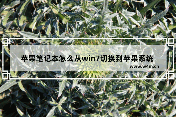 苹果笔记本怎么从win7切换到苹果系统 苹果笔记本从win7切换操作系统