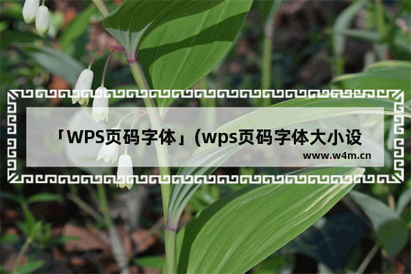 「WPS页码字体」(wps页码字体大小设置)