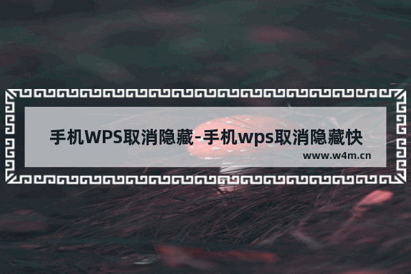 手机WPS取消隐藏-手机wps取消隐藏快捷键