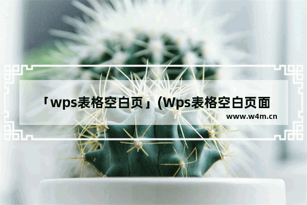 「wps表格空白页」(Wps表格空白页面怎么删除)