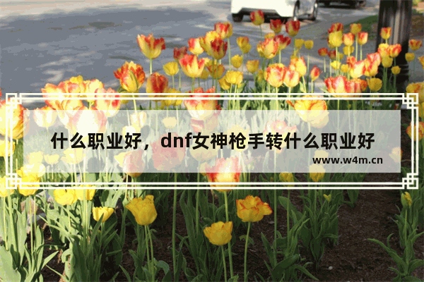 什么职业好，dnf女神枪手转什么职业好