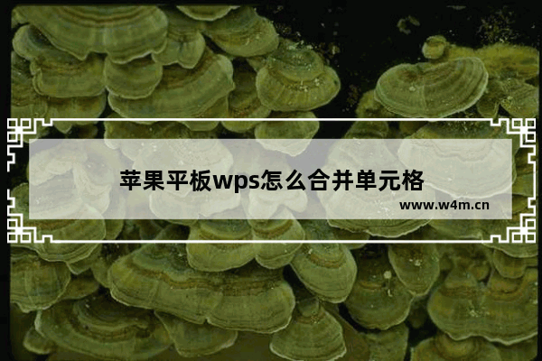 苹果平板wps怎么合并单元格