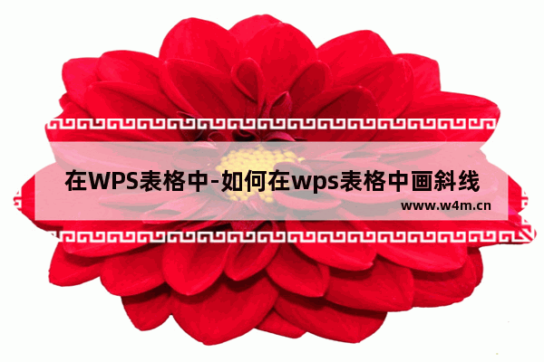 在WPS表格中-如何在wps表格中画斜线