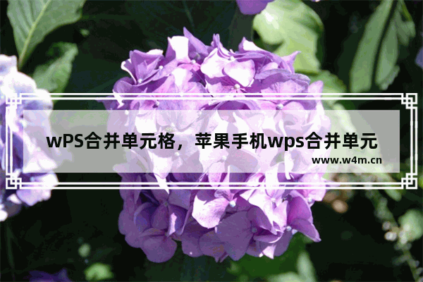 wPS合并单元格，苹果手机wps合并单元格快捷键