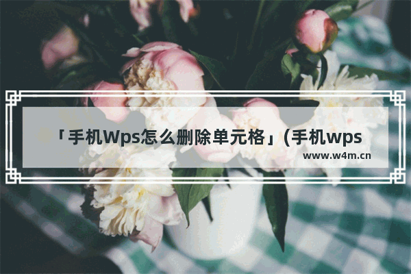 「手机Wps怎么删除单元格」(手机wps怎么删除单元格一列)