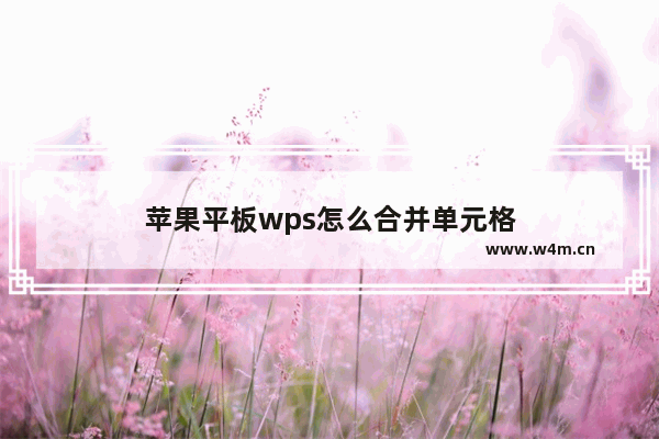 苹果平板wps怎么合并单元格