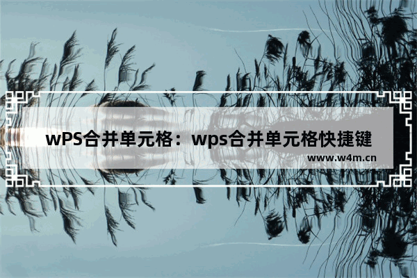 wPS合并单元格：wps合并单元格快捷键ctrl+m点了没反应