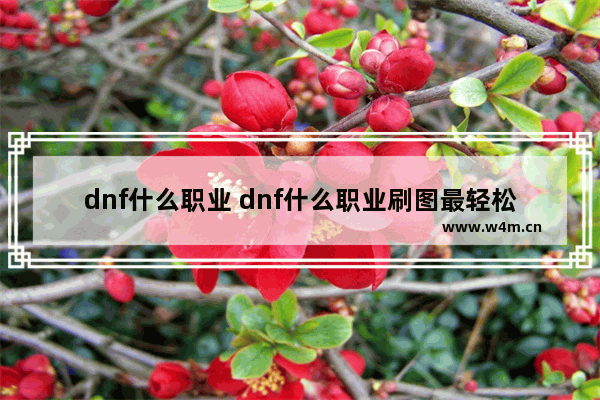 dnf什么职业 dnf什么职业刷图最轻松