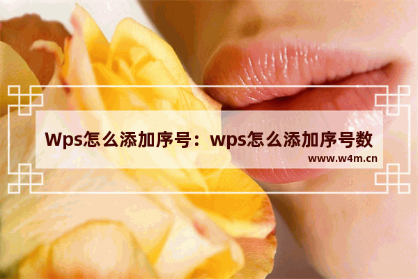 Wps怎么添加序号：wps怎么添加序号数字