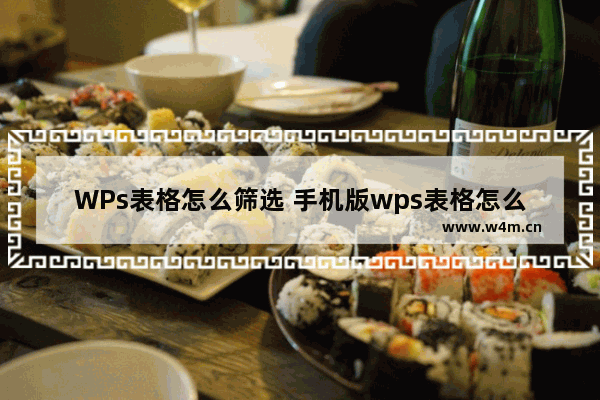 WPs表格怎么筛选 手机版wps表格怎么筛选内容