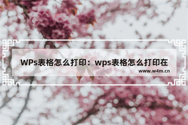 WPs表格怎么打印：wps表格怎么打印在一张纸上面