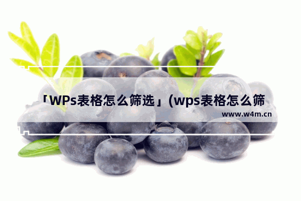 「WPs表格怎么筛选」(wps表格怎么筛选重复项)