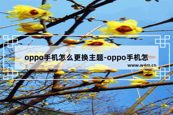 oppo手机怎么更换主题-oppo手机怎么更换主题字体