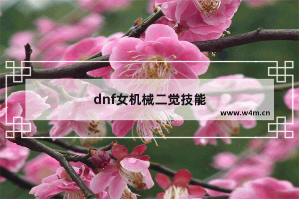 dnf女机械二觉技能