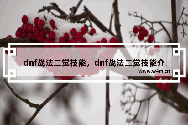 dnf战法二觉技能，dnf战法二觉技能介绍