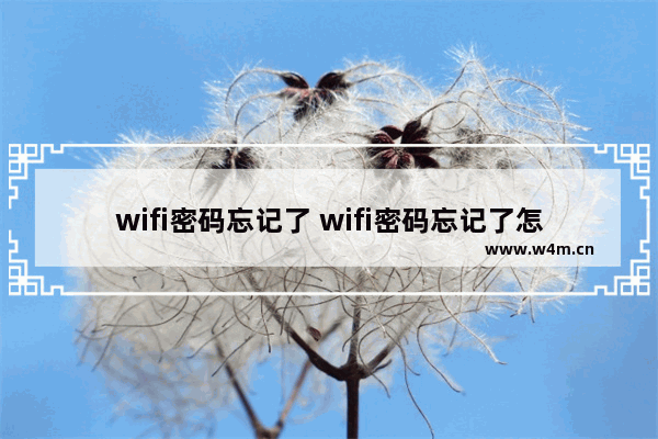 wifi密码忘记了 wifi密码忘记了怎么用手机重新设置密码