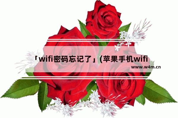 「wifi密码忘记了」(苹果手机wifi密码忘记了)