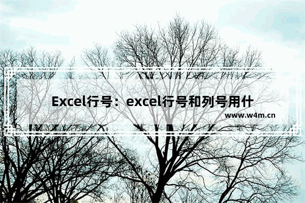 Excel行号：excel行号和列号用什么表示