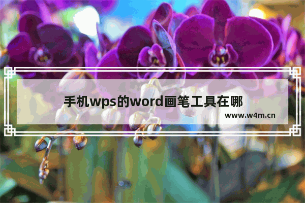 手机wps的word画笔工具在哪